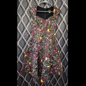 Retrolicious Floral Bird Print Dress
